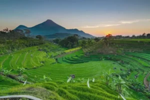 8 Tempat Wisata Mojokerto yang Lagi Hits Terbaru